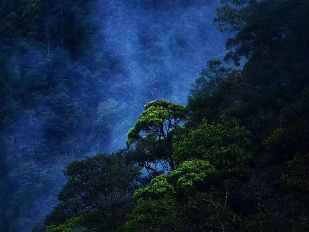逃离荒凉之地
