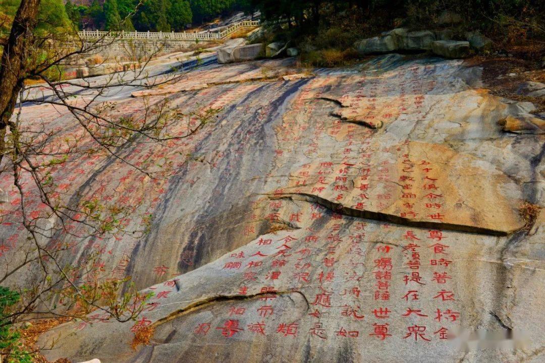 饥饿的哈利