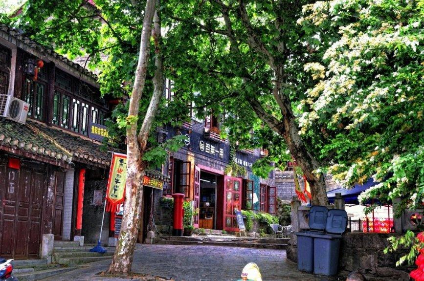 巧虎足球传送门