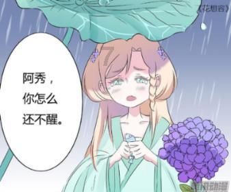 盐和避难所