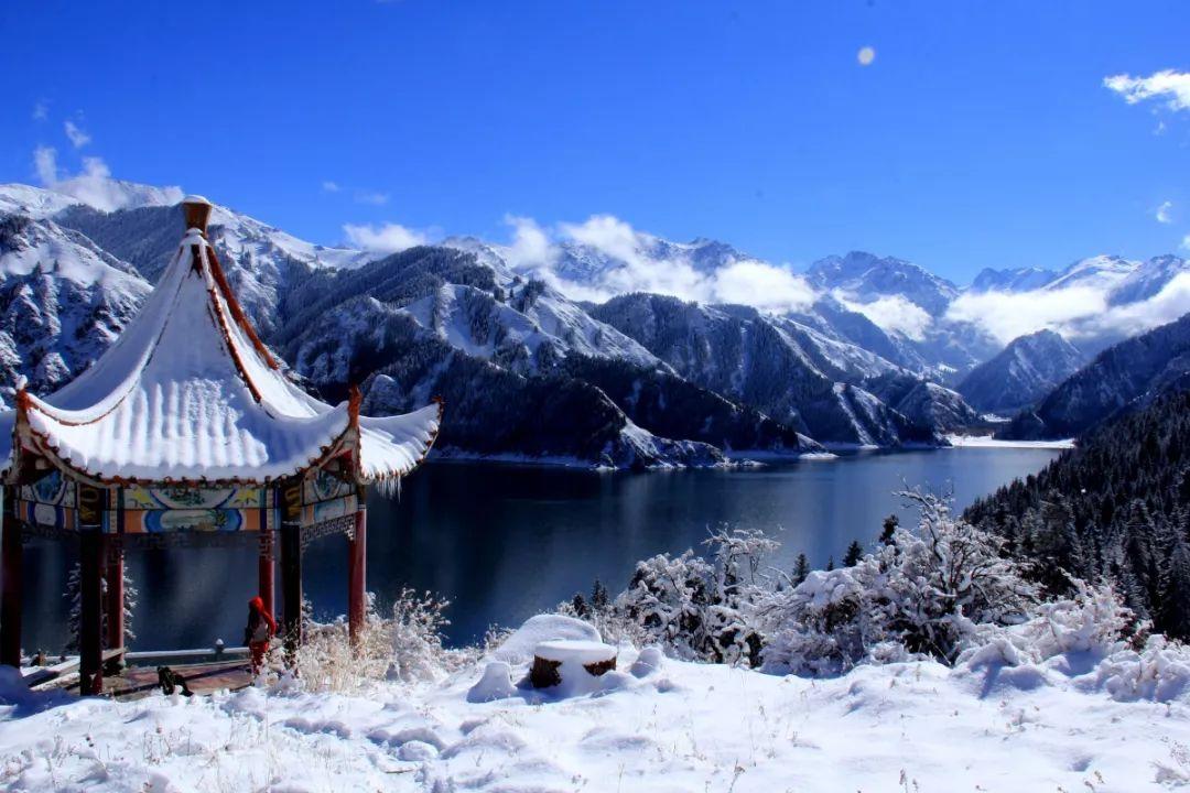 奋力实现一季度开门红 扎实有效全面推进乡村振兴